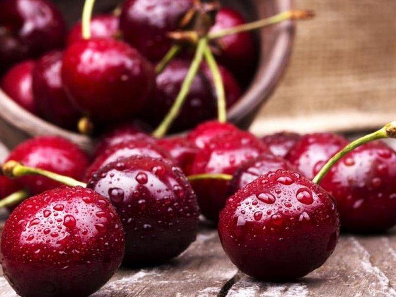 Вишня купить саженцы из питомника в Уфе